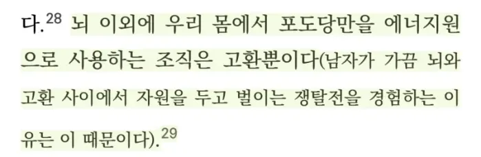 뇌가 하반신에 지배당하는 남자가 나오는 이유