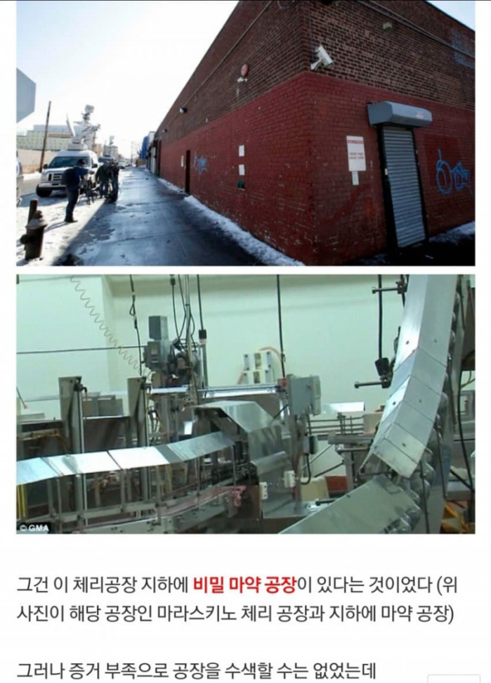 약혐) 벌이 빨간 꿀을 생산하자 실체가 드러난 범죄공장 (수정)