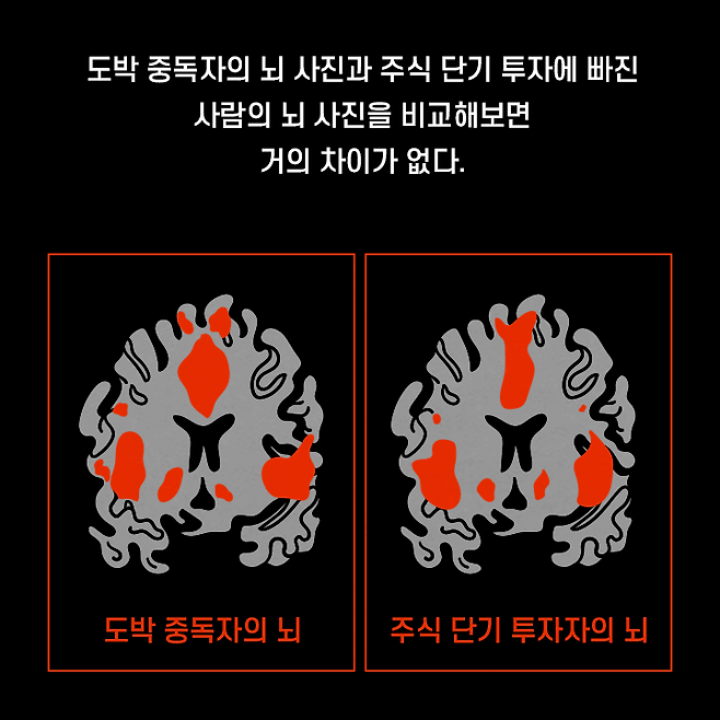 uploaded_6811bf7a9966b.png