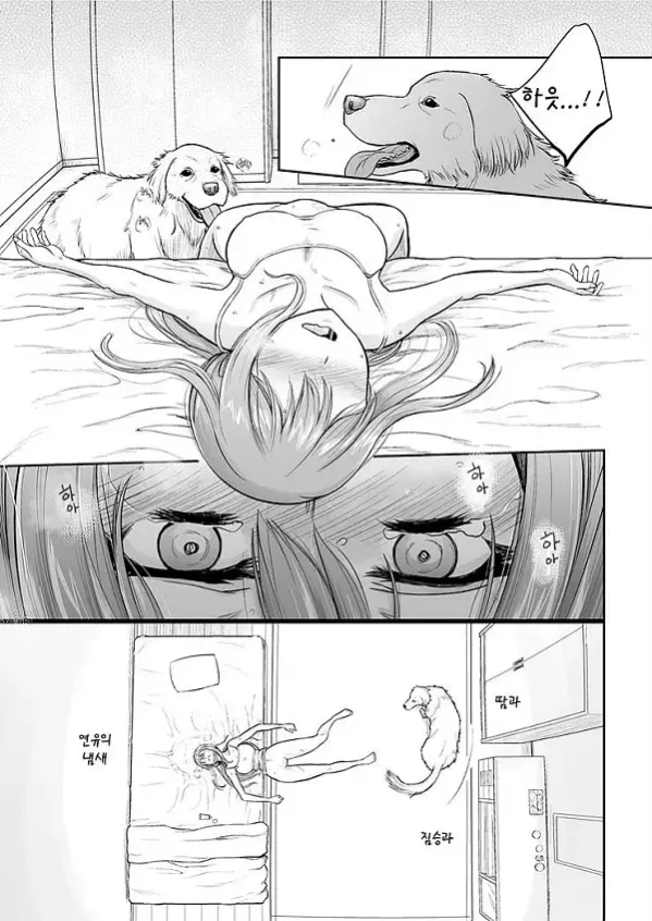 짝짓기 놀이