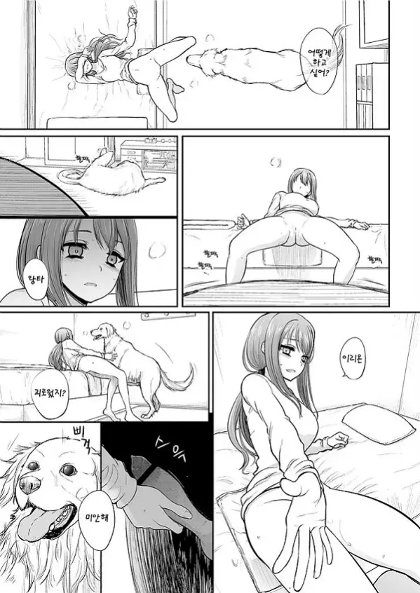 짝짓기 놀이