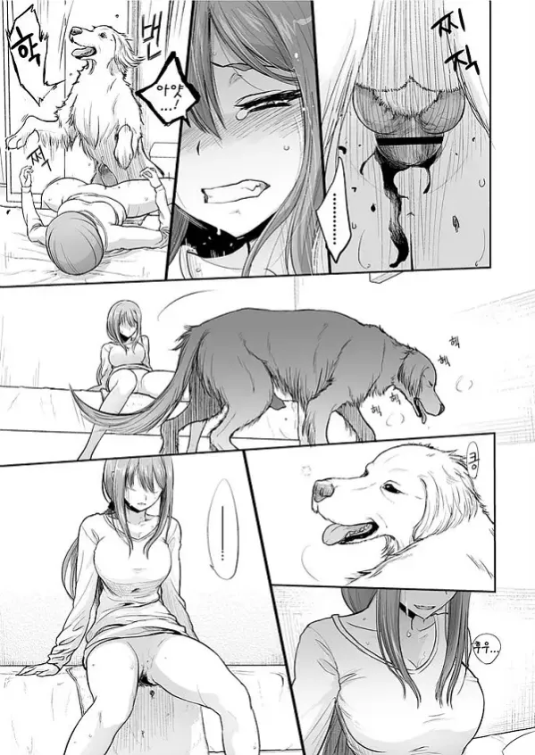 짝짓기 놀이
