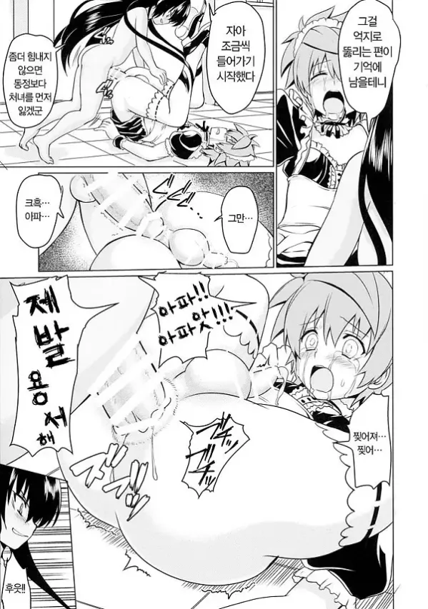 네메시스님의 하인 조교