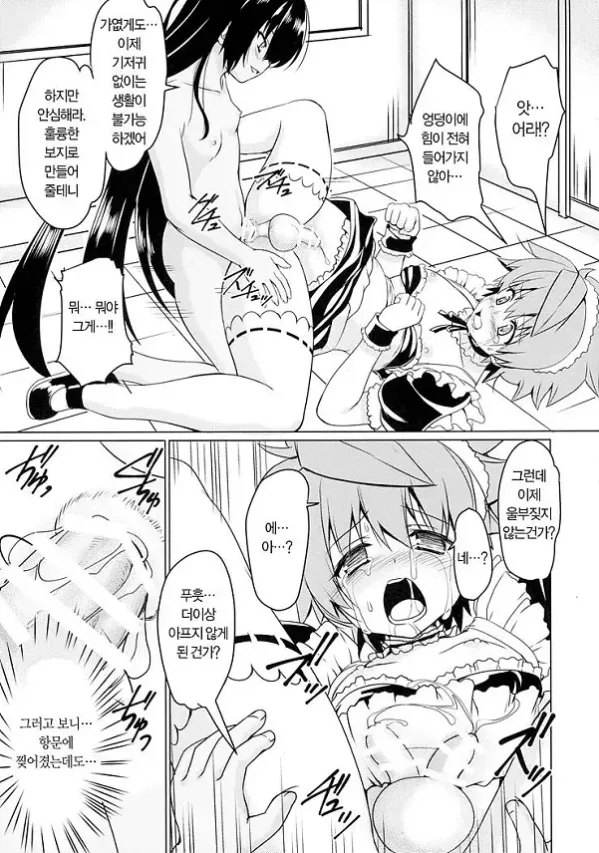 네메시스님의 하인 조교