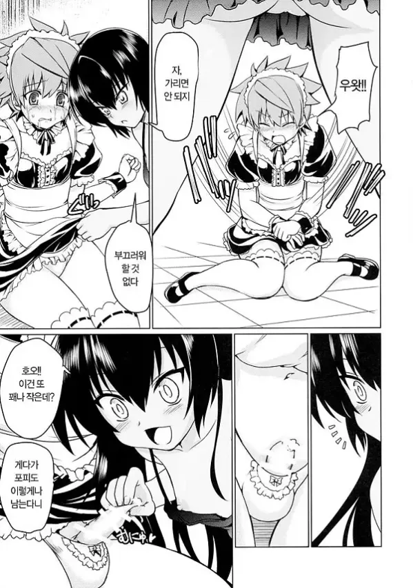 네메시스님의 하인 조교