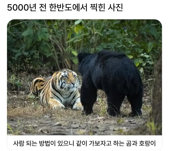 5000년 전 한반도에서 찍힌 사진