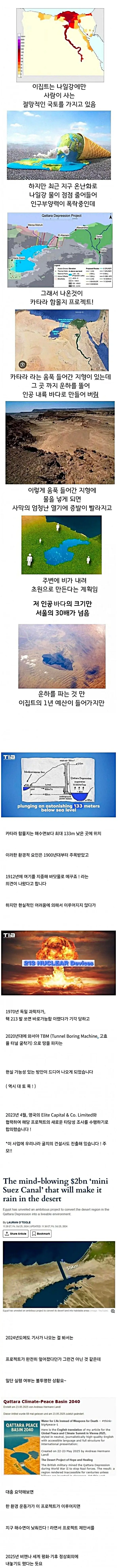 이집트에서 논의중이라는 국가 프로젝트