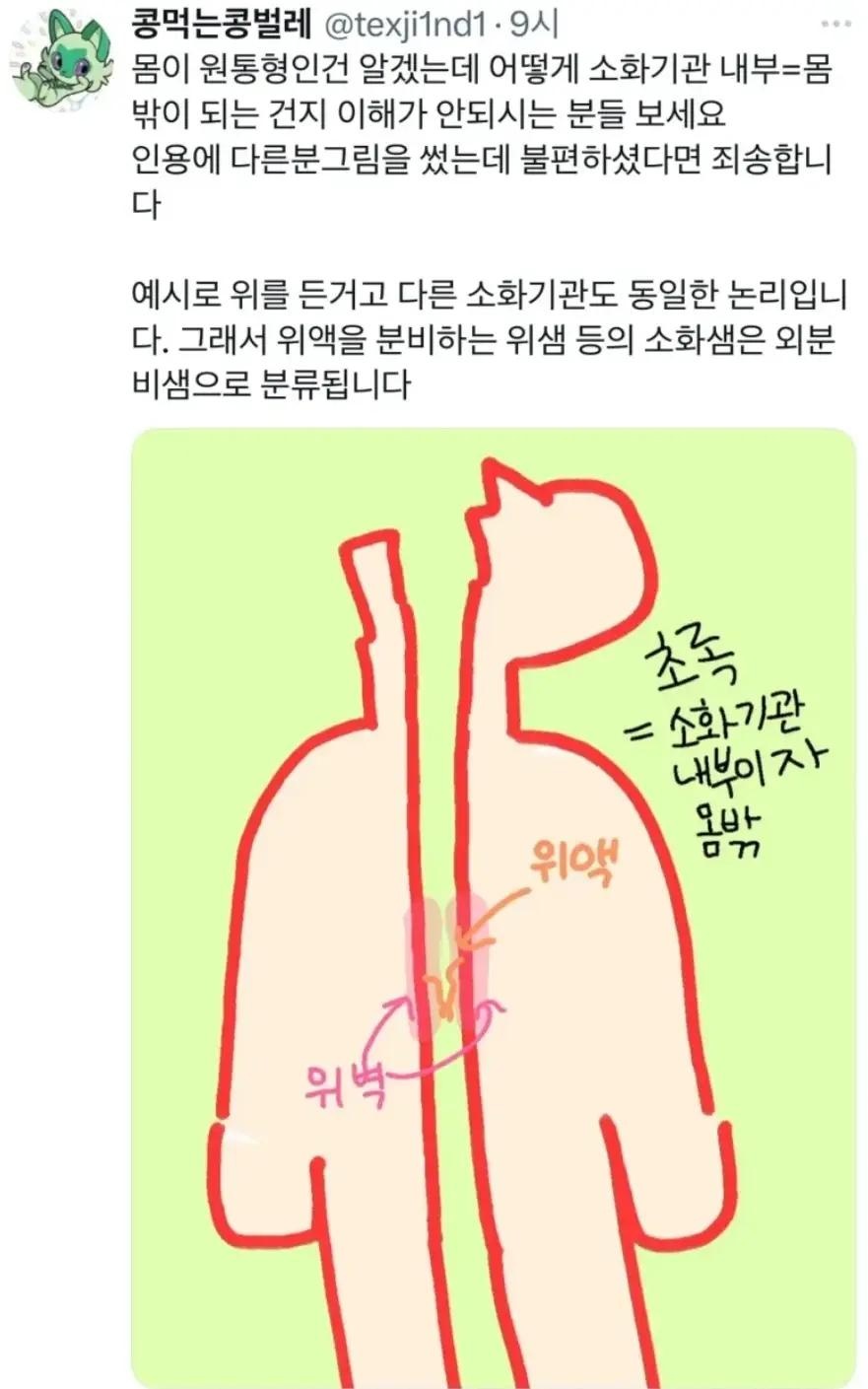 너무 극단적인 인체도...