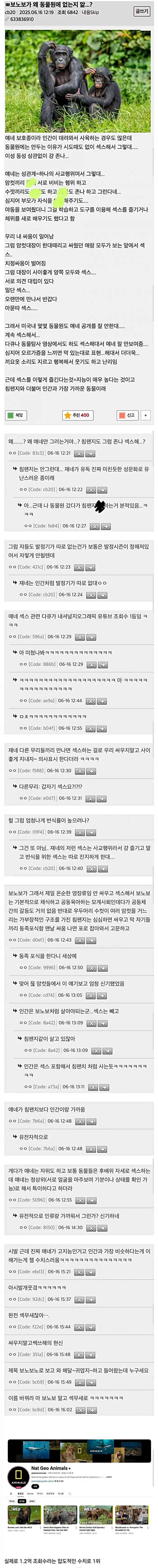 보노보가 동물원에서 안보이는 이