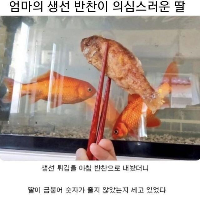 아이에게 생선튀김을 해주었다