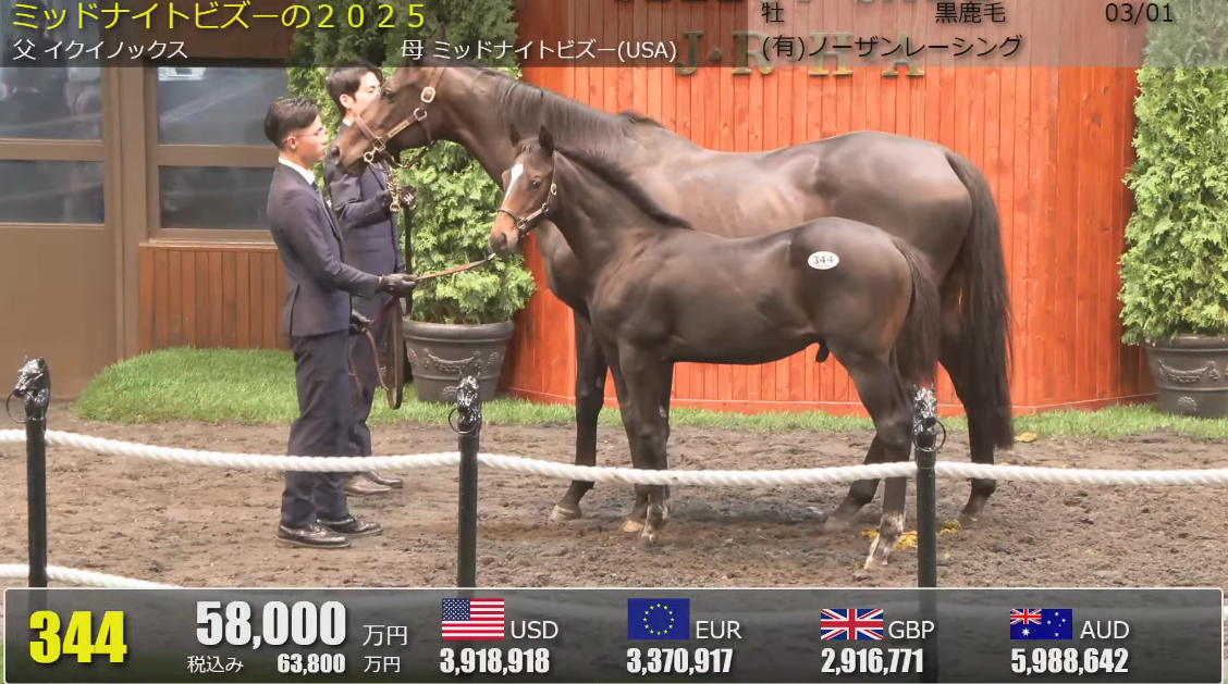네발로 걸어다니는 강남아파트
