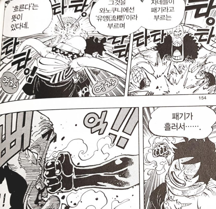 원피스에서 공식보다 많이 퍼진 용어