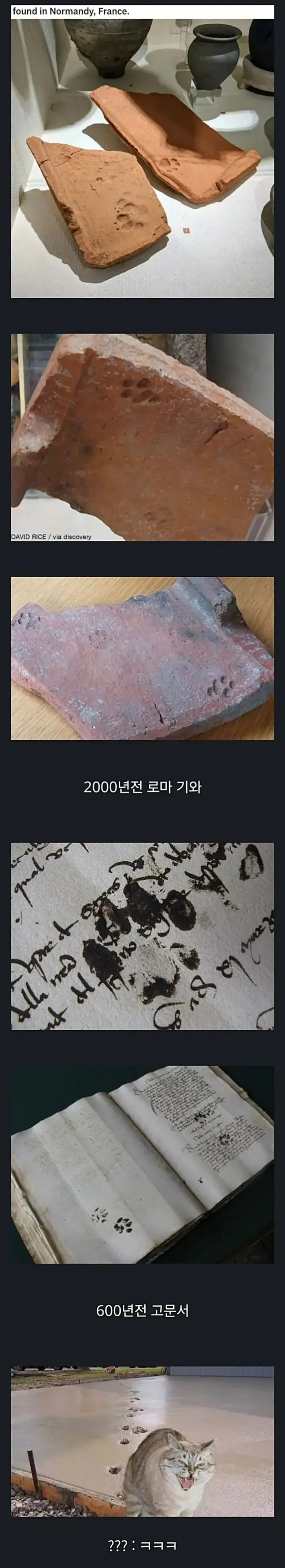 수천년간 똑같은 짓을 하고 있는 동물
