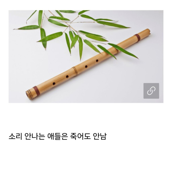 초딩 시절 호불호 악기