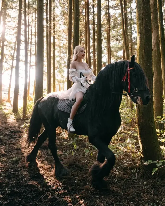 슾속의 애마부인