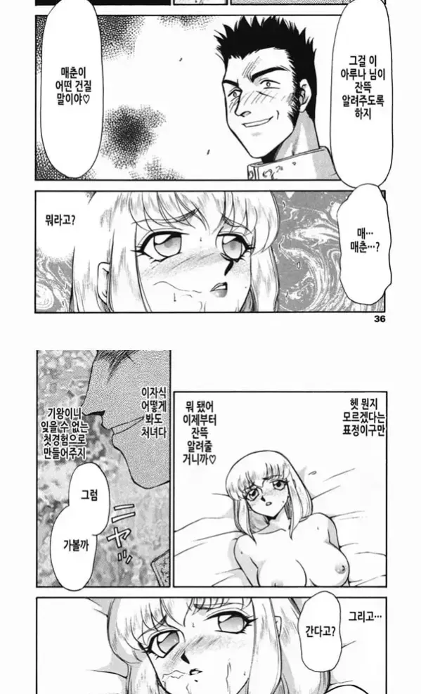 가면의 기사 올레아나 - 1