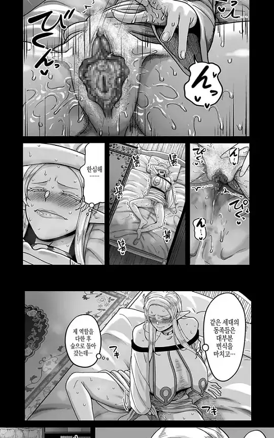 고위한 엘프가 천한인간 남창과 어울리는밤 - 1