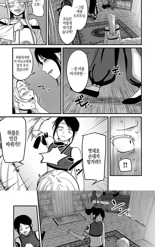 고위한 엘프가 천한인간 남창과 어울리는밤 - 1