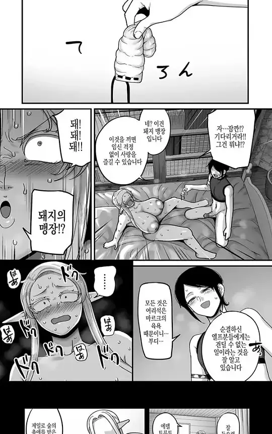 고위한 엘프가 천한인간 남창과 어울리는밤 - 1