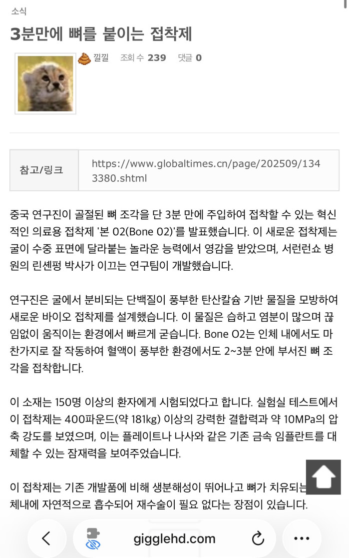 물속에서 3분만에 붙는 본드