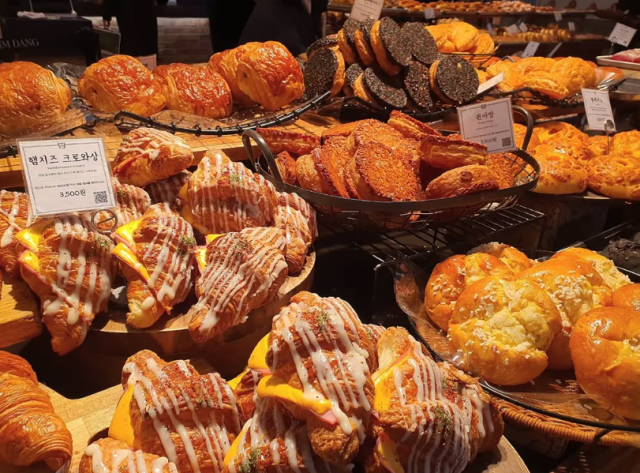 11월 3일 대전 방문시 주의