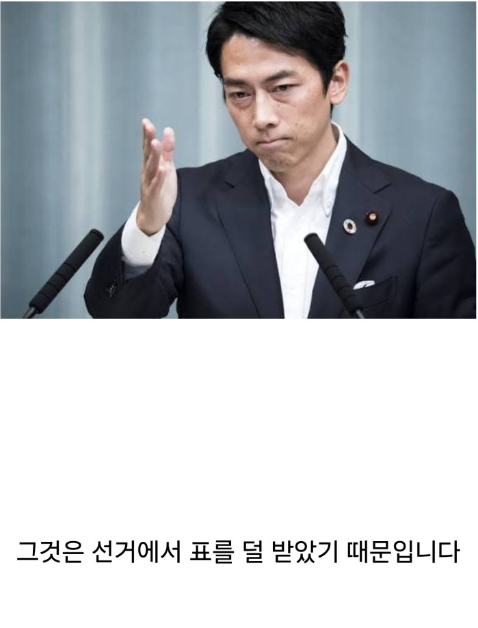 고이즈미 신지로가 자민당 총재 선거에서 낙선한 이유