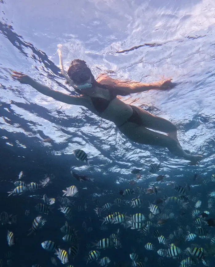 다양한 액티비티가 가능