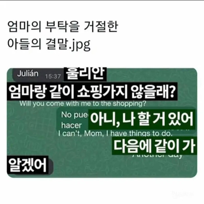 엄마의 부탁을 거절한 아들의 결말...