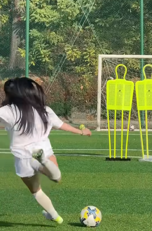 카를로스 순한맛